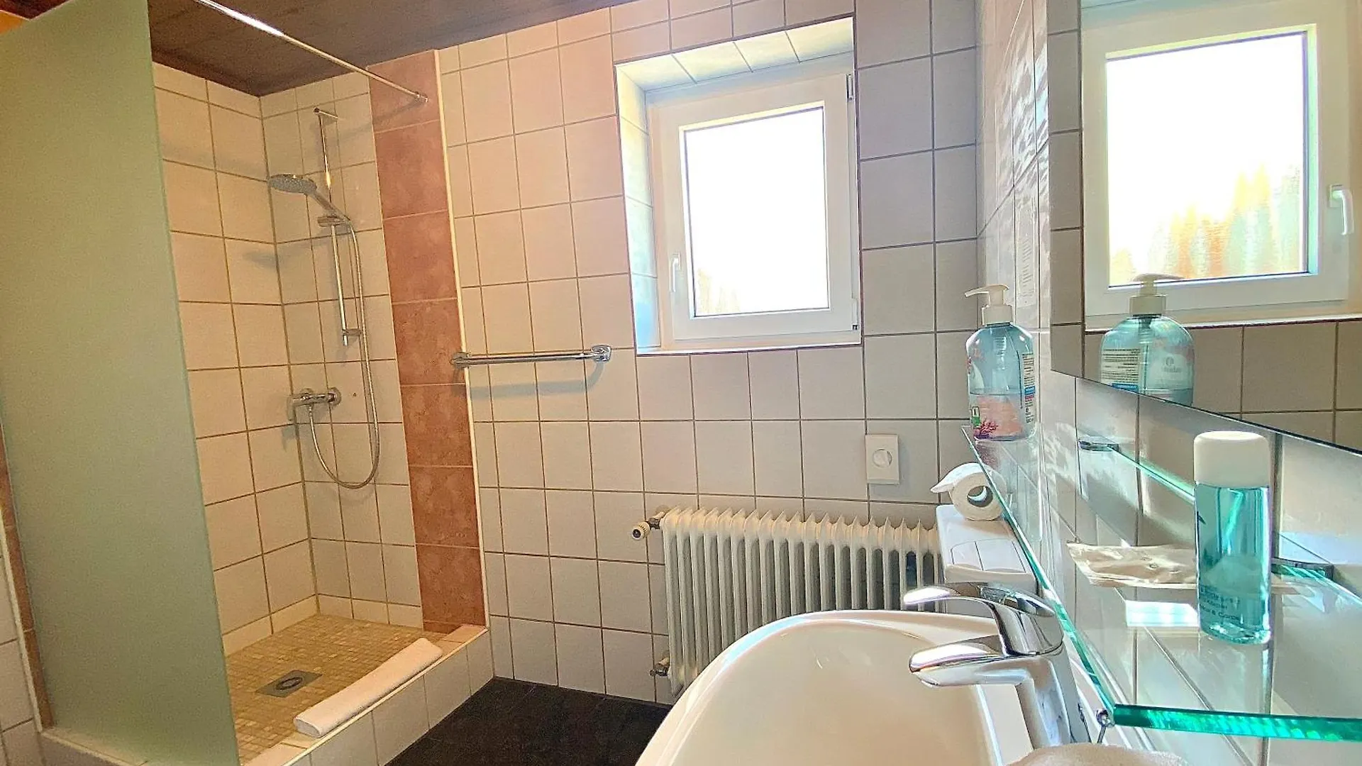 Hotel Gasthof Rose Günzburg 3*,